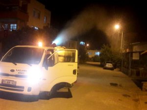 Kadirli’de Haşereyle Mücadele