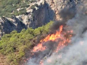 Adrasan’daki Orman Yangını Kontrol Altına Alındı