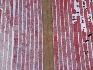 Domatesler İhracat İçin Güneşe Serildi: 7 Ülkeye Gönderilecek