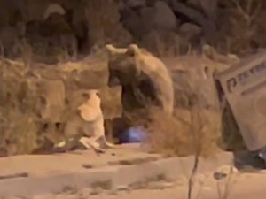 Sarıkamış’ta Sıradan Bir Gün