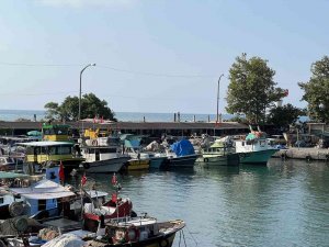 Deniz Suyu Sıcaklığı Avcılığı Olumsuz Etkiledi