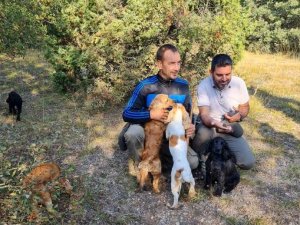 Altıntaş’ta Eğitimli Köpeklerle Trüf Mantarı Arama Çalışmaları