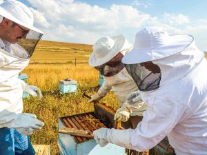 Köy Hayatını Seçti, Amacı Bal Üretiminde Markalaşmak