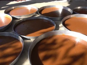 Siirt’te Pekmez Ve Pestil Telaşı Başladı