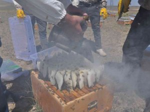Kars’ta 26 Yıldır Dede Mesleği Arıcılık Yapıyor