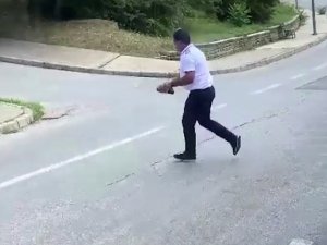Kaplumbağanın Ezilmemesi İçin Yaptığı Hareket Takdir Topladı