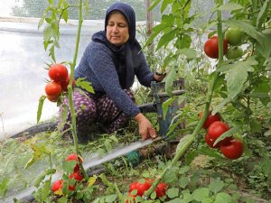 Toprakları Suya Kavuşan Manavgatlı Çiftçinin Yüzü Güldü