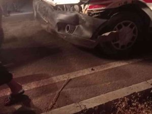 Ambulansın Çarptığı 20 Koyun Telef Oldu