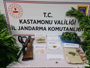 Kastamonu’da Jandarma Ekiplerinden Uyuşturucu Operasyonu: 1 Tutuklama