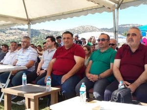 Şeyh Köyünde Armut Ve Çilek Festivali