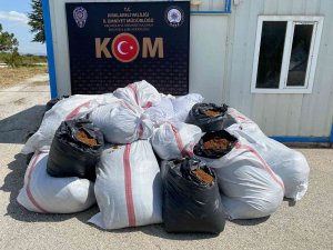 Kırklareli’nde Uyuşturucu Tacirlerine Darbe: 70,9 Kilogram Esrar Ele Geçirildi