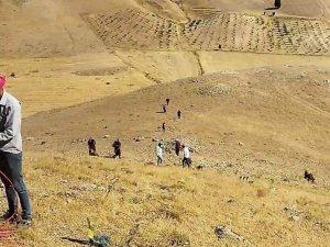 Siirt’te Bir İşçiyi Akrep Soktu