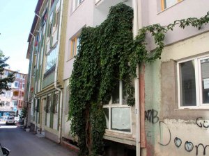 Şelaleyi Andıran Görüntüsüyle Dikkat Çekiyor