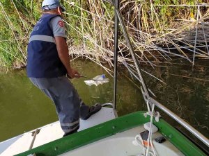 Dalyan Kanalı Artık Daha Temiz