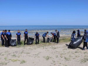 Zabıta Ekipleri, Van Gölü Sahilinde Temizlik Çalışması Yaptı