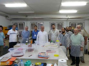 Üniversiteli Sülükler Geleneksel Ve Tamamlayıcı Tıbbın Hizmetinde