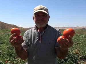 İ̇şçi Bulamayan Üretici: "İ̇yi Ki Mülteciler Var"