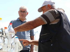Geçimlerini 35 Yıldır Sülük Satarak Sağlıyorlar