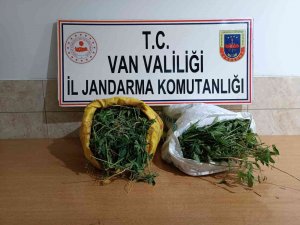 Gürpınar’da 17 Kilo 400 Gram Kubar Esrar Ele Geçirildi