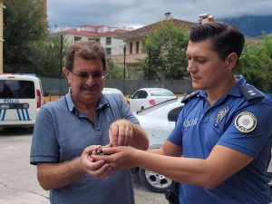 Ender Rastlanan Halkalı Küçük Cılıbıt Kuşuna Polis Şefkati