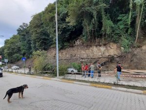 Heyelanda Devrilen Ağaç Park Halindeki Aracın Üzerine Düştü