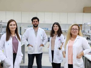 Kireçlenme Tedavisi İçin Önemli Çalışma