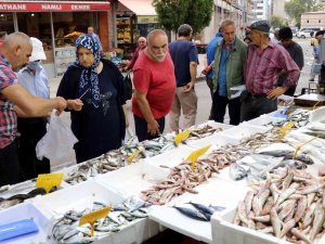 Çinakop Tezgahlarda, Gözler Hala Palamutta