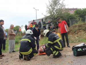 Yağış Kazayı Beraberinde Getirdi, Tem’de Tır Ağaçlık Alana Girdi: 1 Yaralı