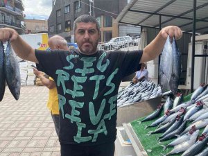 Denizden Palamut Fışkırdı, Bolluk Fiyata Yansıdı