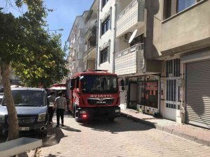 Tinerciler Yaktı, İtfaiye Ekipleri Söndürdü