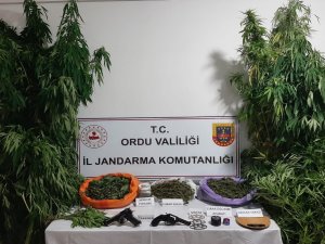 Uyuşturucu Operasyonunda 2 Kişi Tutuklandı