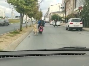 Arnavutköy’de Köpeği Motosikletine Bağlayarak Götüren Şahsa Tepki