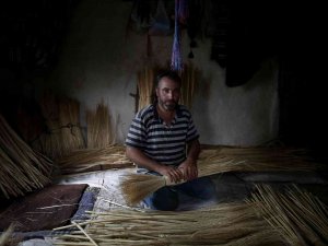 Çalı Süpürgesi Akıllı Robotlara Karşı