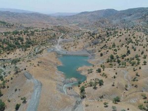 Dsi̇’den Siirt Hayvancılığına Katkı