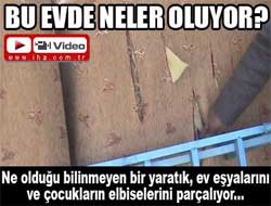 Bu evde neler oluyor? (VİDEO)
