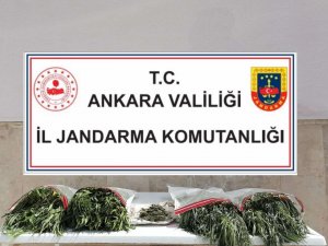 Başkentte Jandarmanın Operasyonunda Çok Sayıda Uyuşturucu Ele Geçirildi