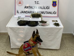 Eve Yapılan Baskında 1 Kilogram Kubar Esrar Ele Geçirildi