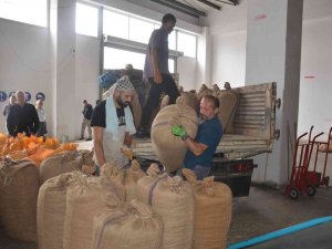 Ordu’da Tmo’ya Talep Artıyor