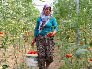 Kadın Girişimci, Devlet Desteğiyle Kurduğu Serayla Aile Bütçesine Katkı Sağlıyor