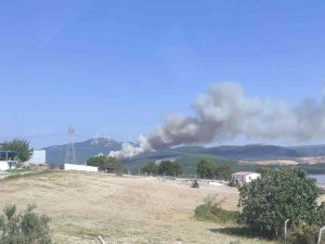 Soma’da Farklı Noktada İkinci Orman Yangını