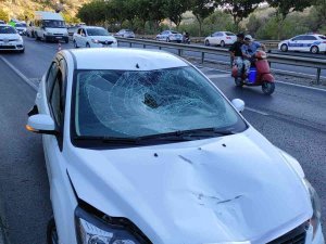 Şanlıurfa’da Feci Kaza: Otomobilden Düşen Eşyası Sonu Oldu