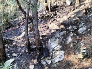 Osmaniye’deki Orman Yangını Büyümeden Söndürüldü