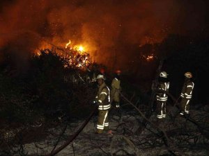 Arnavutköy’de Orman Yangını