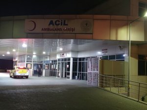 Ayı Saldırısına Uğrayan Ve Yaralanan Çobanı Köpekler Kurtardı