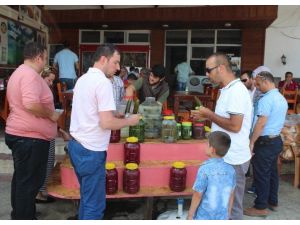 Ordulu Turşuculara "Gurbetçi Ve Turist" Akını