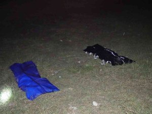 Adana’da 3 Ayda 15’i Çocuk 27 Kişi Boğuldu
