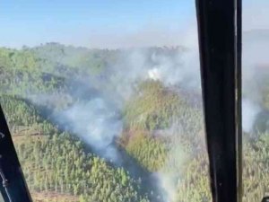 Alanya’da Orman Yangını