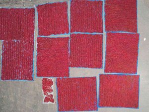 Tescilli Maraş Biberinde Hasat Zamanı