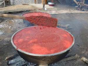 Geleneksel Yöntemlerle Salça Yapımı