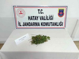 Hatay’da Uyuşturucu Operasyonu